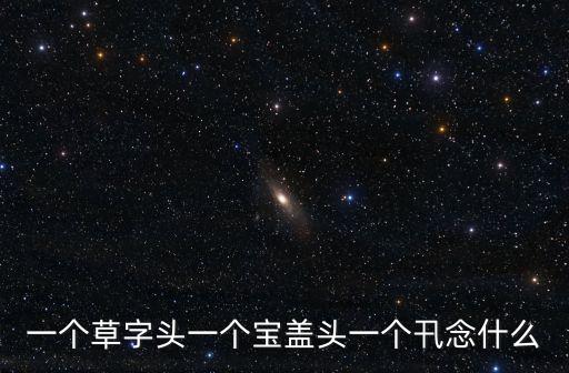 一個(gè)草字頭一個(gè)寶蓋頭一個(gè)卂念什么
