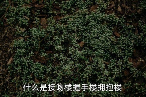 握手樓，什么是接吻樓握手樓擁抱樓