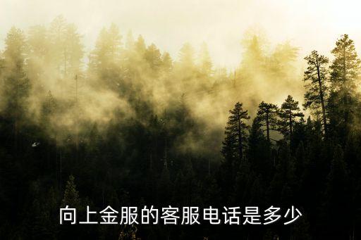 向上金服的客服電話是多少