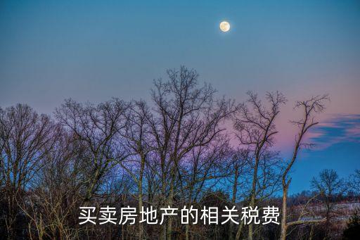 買賣房地產(chǎn)的相關(guān)稅費(fèi)