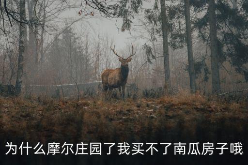 為什么摩爾莊園了我買不了南瓜房子哦