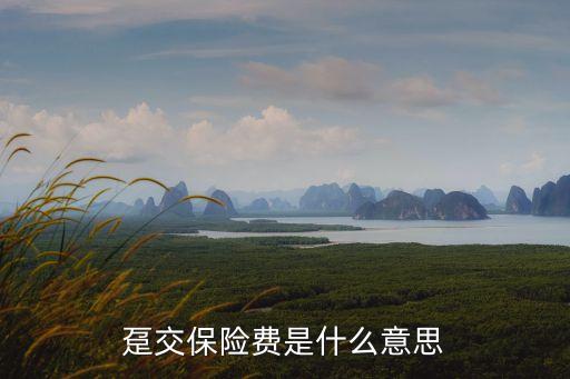 躉交保險，躉交保險費是什么意思