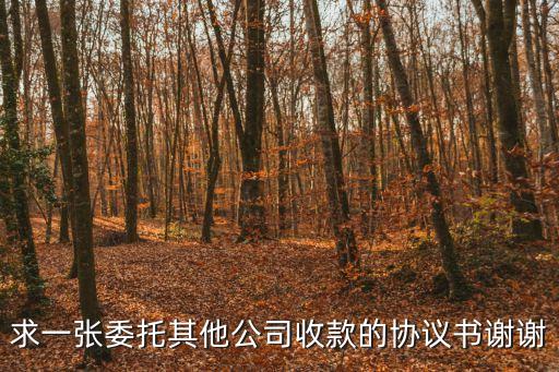 求一張委托其他公司收款的協(xié)議書謝謝