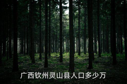 靈山縣人口，廣西靈山縣有多少人口