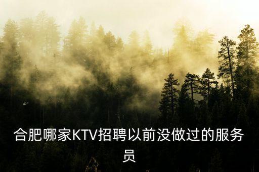 合肥哪家KTV招聘以前沒做過的服務(wù)員