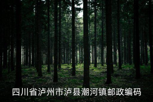 四川省瀘州市瀘縣潮河鎮(zhèn)郵政編碼