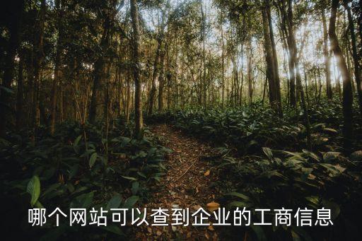 工商信息，上海的企業(yè)工商信息去哪里查詢