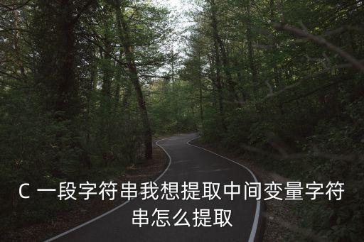 C 一段字符串我想提取中間變量字符串怎么提取