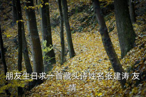 張建濤，吳寶輝怎么設(shè)計(jì)簽名