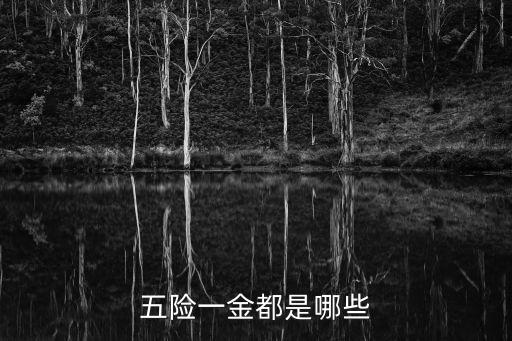 五險(xiǎn)一金包括哪些，五險(xiǎn)一金具體有什么