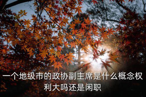 一個地級市的政協(xié)副主席是什么概念權(quán)利大嗎還是閑職