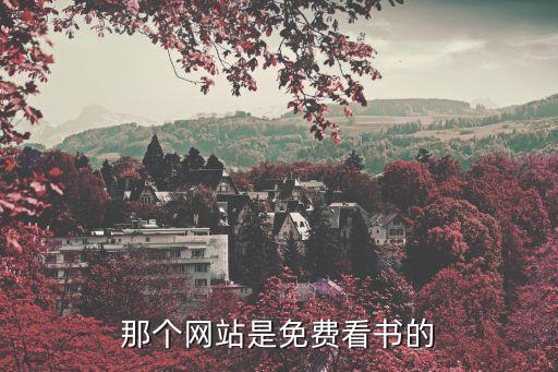 那個網(wǎng)站是免費看書的