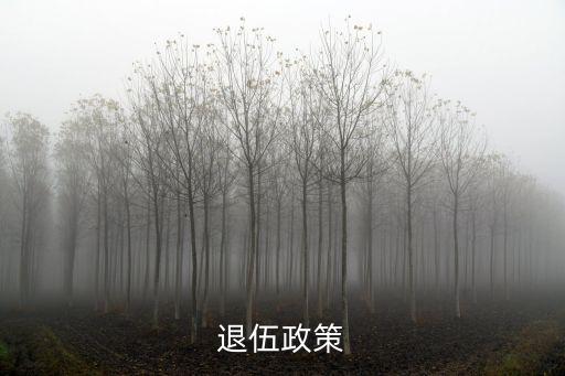 退伍政策