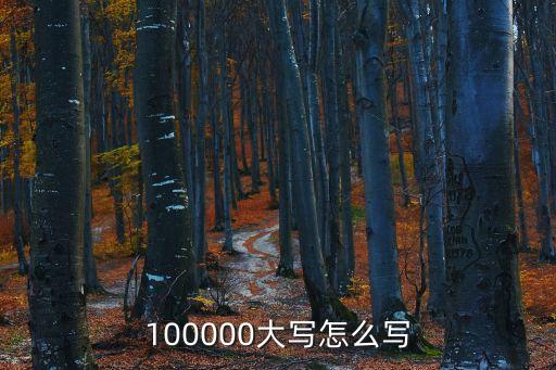 100000大寫怎么寫