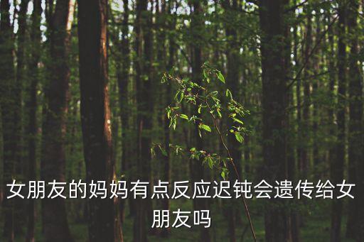 女朋友的媽媽2，女朋友的媽媽一直不同意我們在一起嫌棄我是外地的其實說外地的