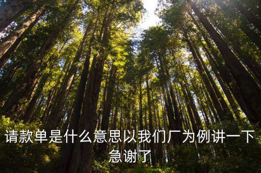 請(qǐng)款，請(qǐng)款單是什么意思以我們廠為例講一下急謝了