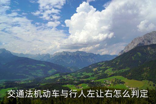 讓右，交通 左讓右 是什么情況