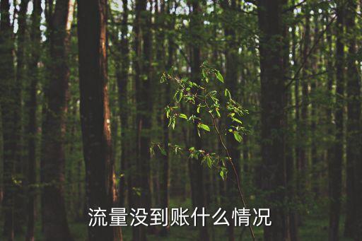 流量沒(méi)到賬什么情況