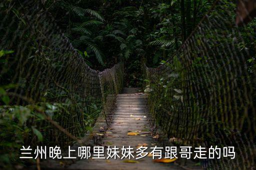 蘭州晚上哪里妹妹多有跟哥走的嗎