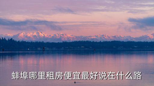 蚌埠哪里租房便宜最好說(shuō)在什么路