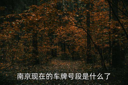 南京現(xiàn)在的車牌號(hào)段是什么了