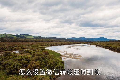 微信轉賬延遲到賬，怎么設置微信轉帳延時到帳