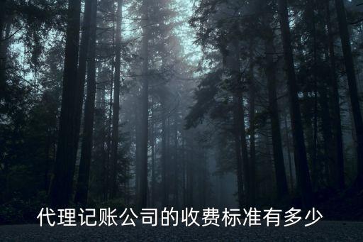 代理記賬機(jī)構(gòu)收費(fèi)，代理記賬公司的收費(fèi)標(biāo)準(zhǔn)有多少