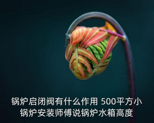 鍋爐啟閉閥有什么作用 500平方小鍋爐安裝師傅說(shuō)鍋爐水箱高度