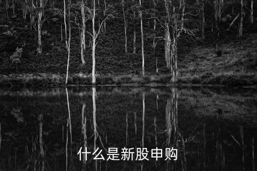 新股認購，什么是新股申購