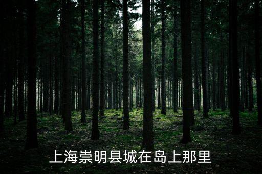 上海崇明縣城在島上那里