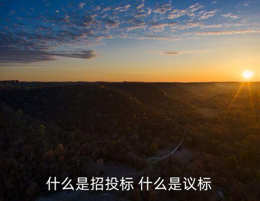 什么是招投標 什么是議標