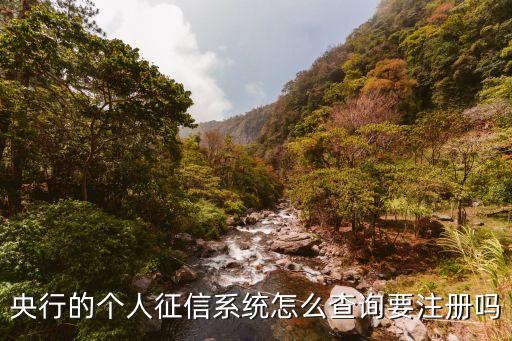 央行的個人征信系統(tǒng)怎么查詢要注冊嗎