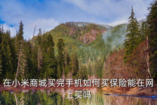 在小米商城買完手機(jī)如何買保險(xiǎn)能在網(wǎng)上買嗎