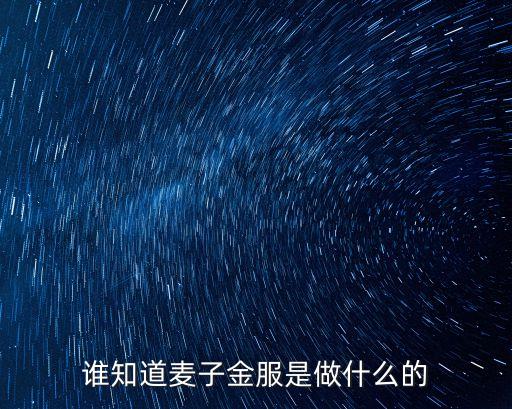 誰(shuí)知道麥子金服是做什么的
