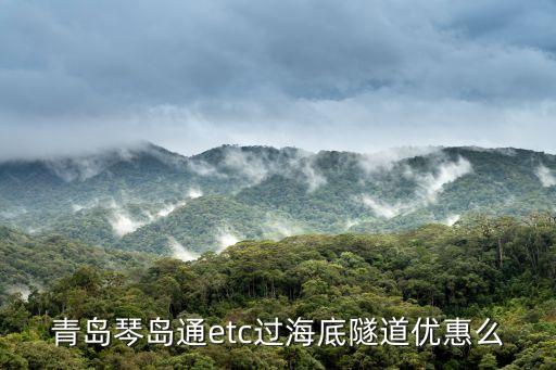 琴島通etc，琴島通ETC線上申領(lǐng)通過后多長時間可以收到設(shè)備
