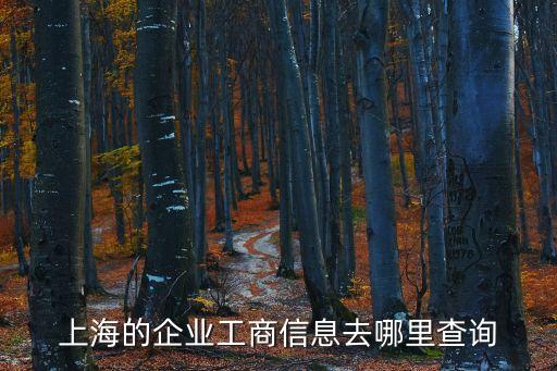 上海的企業(yè)工商信息去哪里查詢