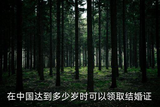 幾歲可以領(lǐng)證，幾歲可以領(lǐng)取結(jié)婚證