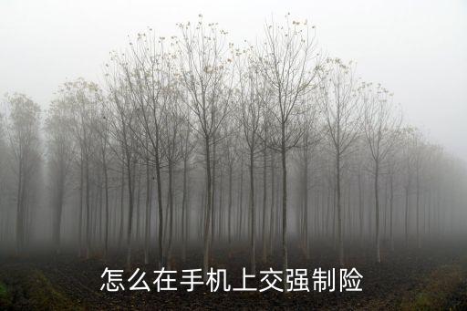怎么在手機(jī)上交強(qiáng)制險(xiǎn)