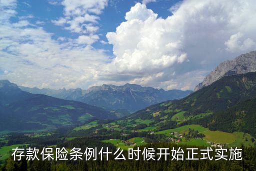 存款保險條例什么時候開始正式實施