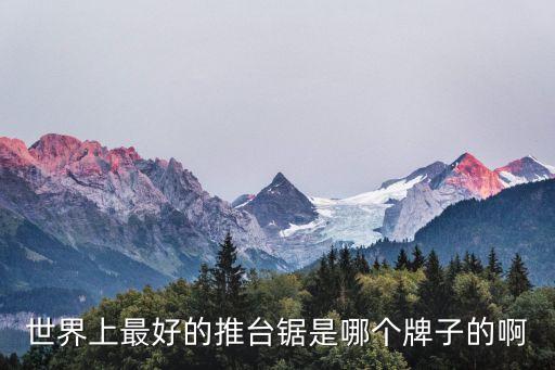 世界上最好的推臺(tái)鋸是哪個(gè)牌子的啊
