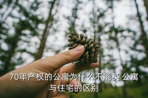 公寓為什么不能買，70年產(chǎn)權的公寓為什么不能買 公寓與住宅的區(qū)別
