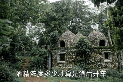 酒精度多少算酒駕，交通法規(guī)中酒精含多少算酒駕