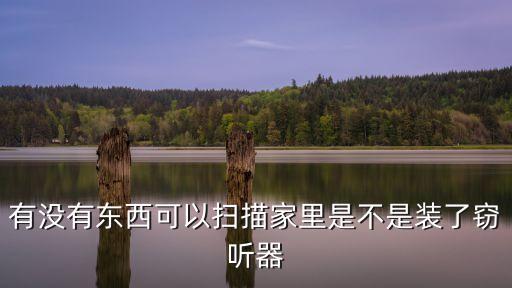 有沒有東西可以掃描家里是不是裝了竊聽器