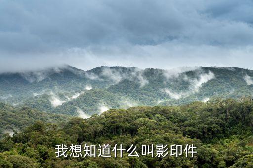 我想知道什么叫影印件