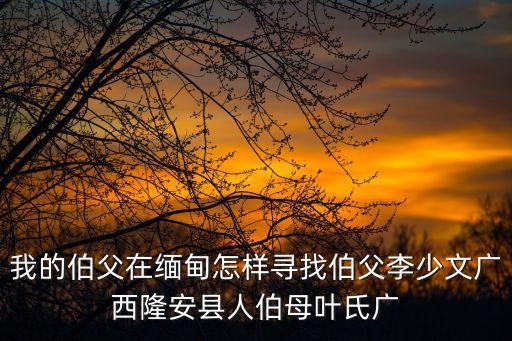 我的伯父在緬甸怎樣尋找伯父李少文廣西隆安縣人伯母葉氏廣