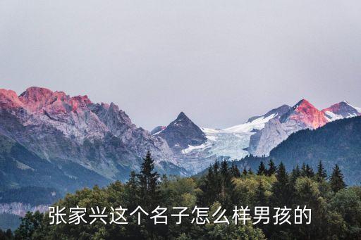 張家興這個(gè)名子怎么樣男孩的