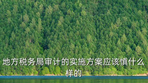地方稅務(wù)局審計(jì)的實(shí)施方案應(yīng)該慎什么樣的