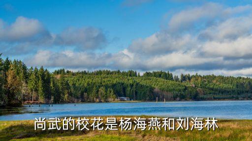 楊海燕，尚武的校花是楊海燕和劉海林