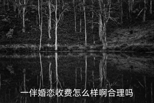 一伴婚戀收費怎么樣啊合理嗎