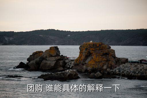 團購是什么意思，團購解釋一下